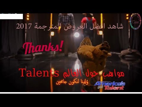 شاهد دجاجة ترفض أداء العرض في  مواهب أميركا 2017