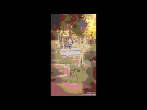 شاهد سخطٌ في الناصرة بعد انتشار فيديو لفتاة تقوم بأعمال صبيانية في مقبرة