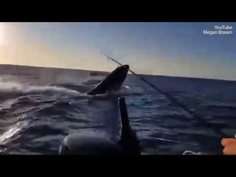 شاهد رد فعل صبي يشاهد حوتَا بالقرب من الشاطئ