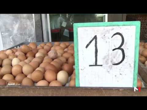 شاهد وحدة إنتاجية للاستطلاع بشأن خلو البيض من أي تلوث