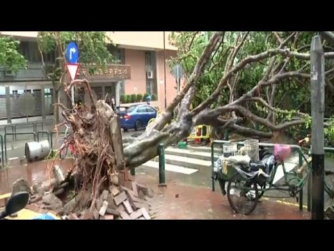 شاهد 12 قتيلاً على الأقل جنوب الصين جراء إعصار هاتو