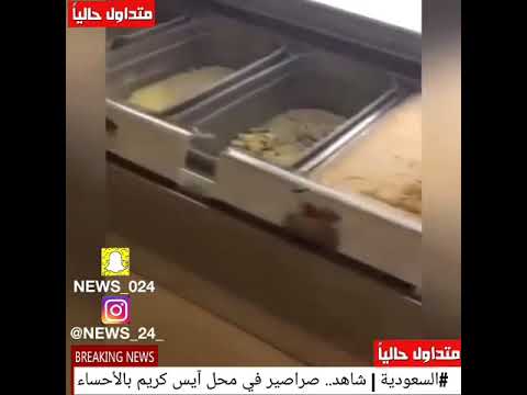 شاهد صراصير داخل محل للمثلجات تثير استياء السعوديين