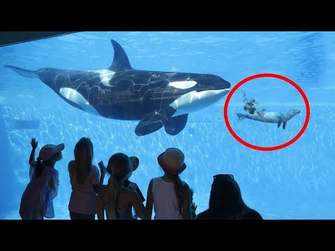 شاهد 5 أشياء عالم البحار يخفيها في أعماقه