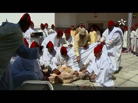 شاهد الملك محمد السادس يذبح أضحية العيد بنفسه