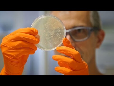 شاهد فيروسات جديدة لعلاج مرض السرطان