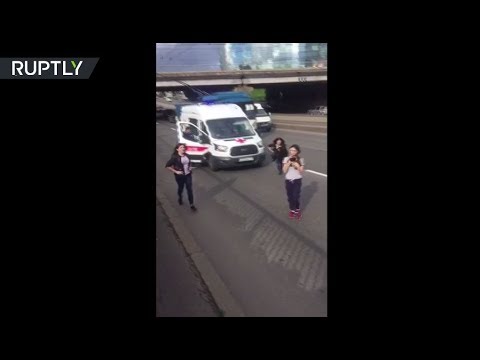 فتيات من بطرسبورغ ينقذن قطة على طريق سريع