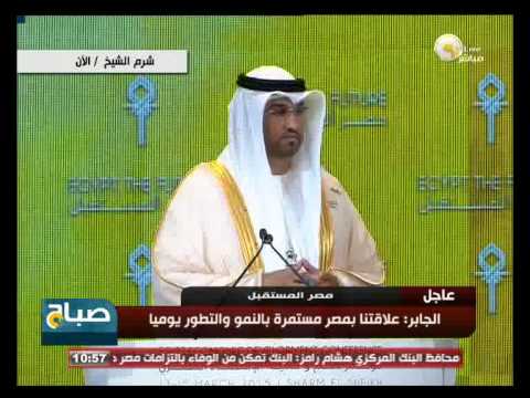سلطان الجابر يؤكد  تأسيس مكتب تنسيقي بين مصر والإمارات