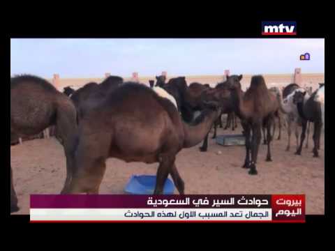 دراسة تؤكد ان الطرق السعودية الاخطر في العالم