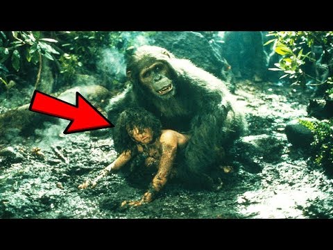 10 أطفال حقيقيون قامت الحيوانات بتربيتهم