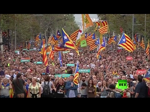 شاهد الحويج يرى أنّه من حق سيف الإسلام القذافي الترشح للانتخابات في ليبيا