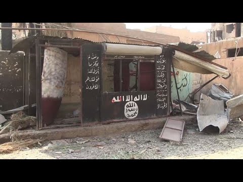 شاهد قوات الحكومة السورية تستعيد مدينة الميادين