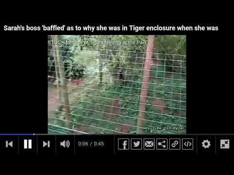 لحظة مهاجمة نمر على حارسة حديقة حيوان روسية