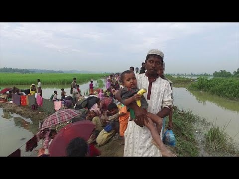 محنة اللاجئين الروهينغا في بنغلادش