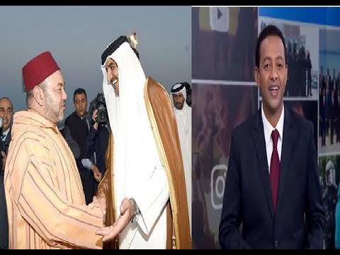 شاهد قناة الجزيرة تعد تقريرًا رائعًا احتفالًا بوصول الملك السادس لقطر