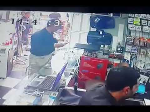 عائلة سمك البهلوان تتعاون معًا لبناء منزل من قشر جوز الهند