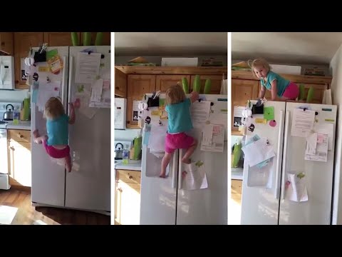 طفلة مشاغبة تتسلق ثلاجة كالسحلية