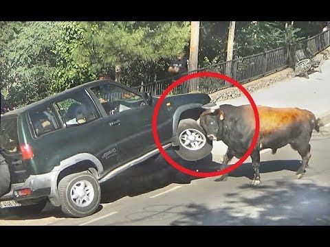 أكثر لحظات تقشعر لها الأبدان