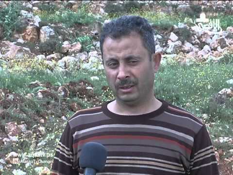 تواصل اعتداءات الاحتلال على أراضٍ في الضفة بالفيديو