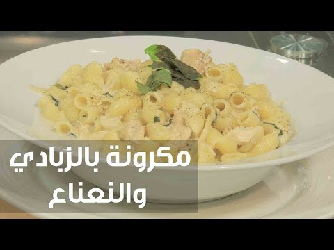 شاهد طريقة إعداد ومقادير مكرونة بالزبادي والنعناع