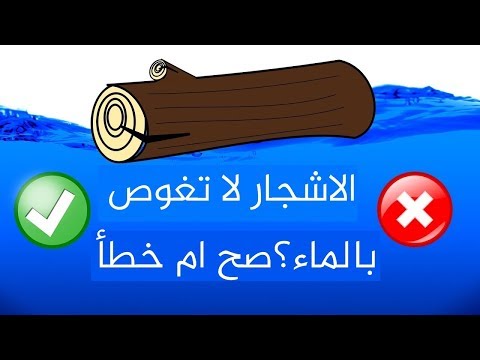 شاهد المصدر الأفضل لفيتامين سي للوقاية من أمراض الشتاء