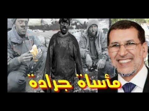 شاهد العثماني يقود وفدا وزاريا إلى جرادة لـإخماد الاحتجاجاتشاهد العثماني يقود وفدا وزاريا إلى جرادة لـإخماد الاحتجاجات