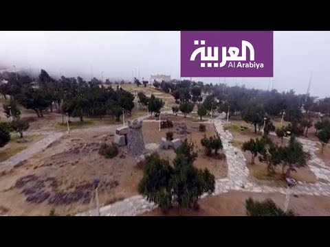شاهد صور جوية من غابات الباحة جنوب السعودية