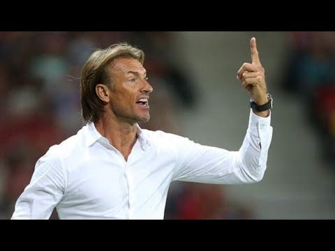 بالفيديو هيرفي رونار يتلقى خبرًا سارًا