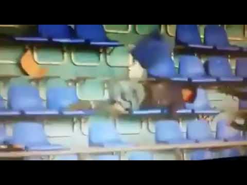 شاهد مشجع من الرجاء ينطق الشهادتين بعد اصابته في شغب مباراة مراكش