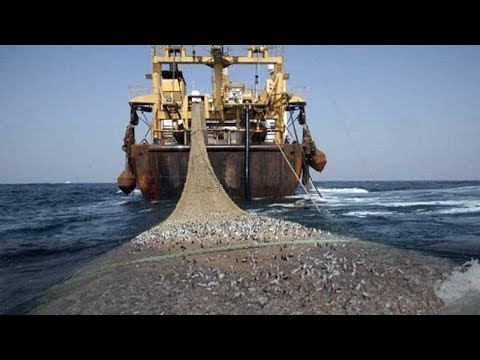 بالفيديو آخر التطورات بشأن اتفاقية الصيد البحري مع أوروبا