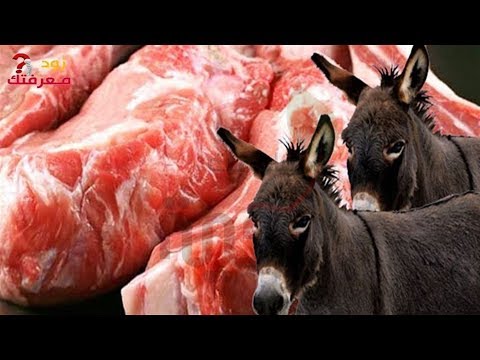 بالفيديو  علامات إذا بدت عليك فهنيئًا عليك وجبة الحمير