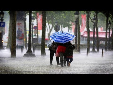 شاهد الأرصاد الجوية تعلن عودة سرعة الرياح الأربعاء