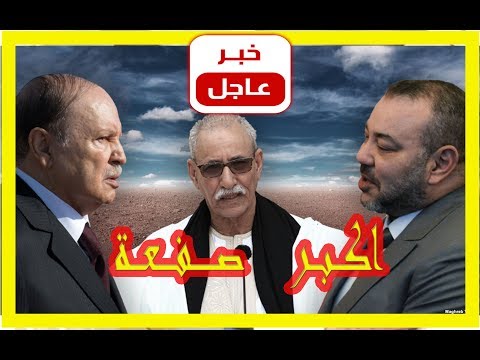 شاهد الاتحاد الافريقي يوجّه أكبر صفحة للبوليساريو في تاريخها