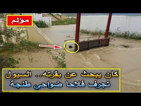 شاهد  السيول تجرف فلاحا في ضواحي طنجة