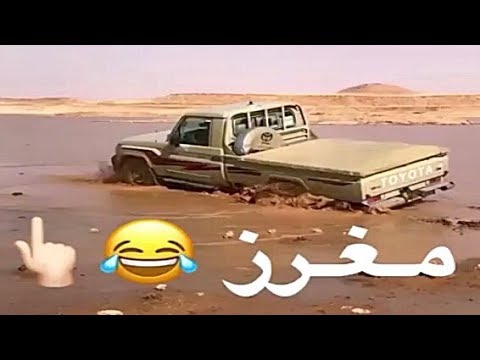 شاهد أقوى تحدي بين نيسان باترول vs تويوتا شاص