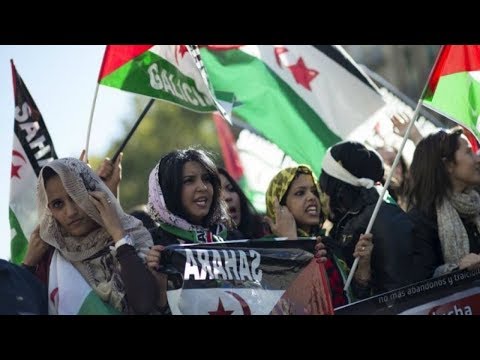 شاهد5 من انفصالي الداخل استجابوا لدعوة البوليساريو في الجزائر