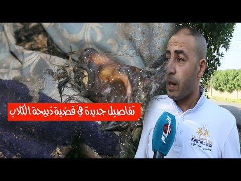 شاهد تفاصيل جديدة في قضية ذبيحة الكلاب وتوزيعها على المجازر في المحمدية