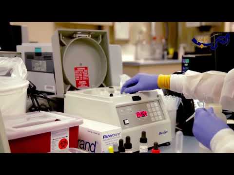 شاهد دراسة تكشف انَّ العيش في مناطق خضراء يحمي القلب