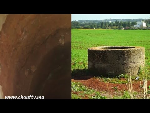 شاهدتفاصيل العثور على جثة أربعيني داخل بئر في ضواحي المحمدية