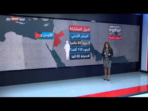 تعرف على تشكيل القوة العربية المشتركة