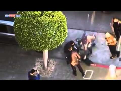 «كلب البحر» يتجول في شوارع سان فرانسيسكو