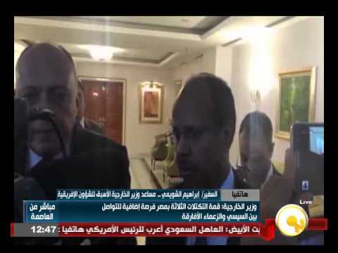 بالفيديو التكتلات الثلاثة فرصة للتواصل مع الزعماء الأفارقة