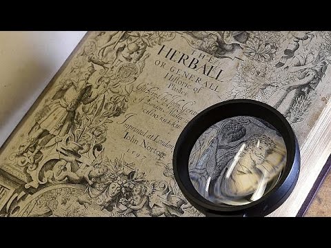 شاهد اكتشاف رسم يعكس ملامح وجه شكسبير الحقيقي