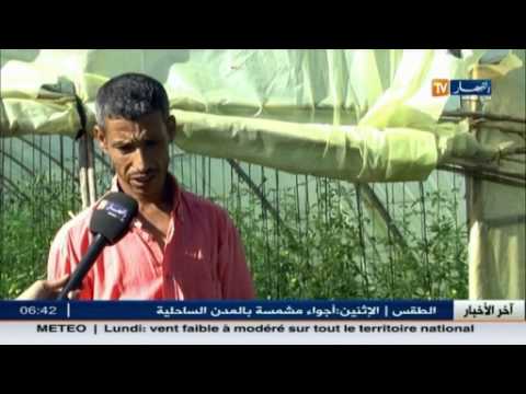 فيديو تحسن الزراعة في ولاية عيد الدفلي