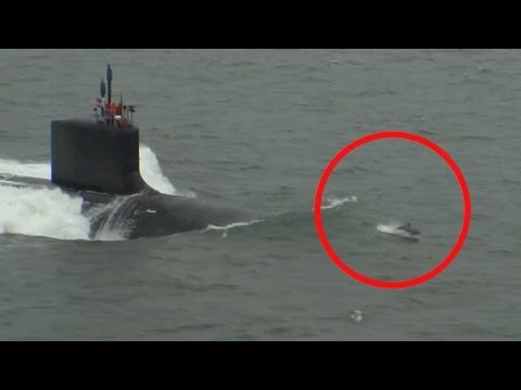 شاهد الدلافين تزف غواصة نووية أميركية في مياه المحيط