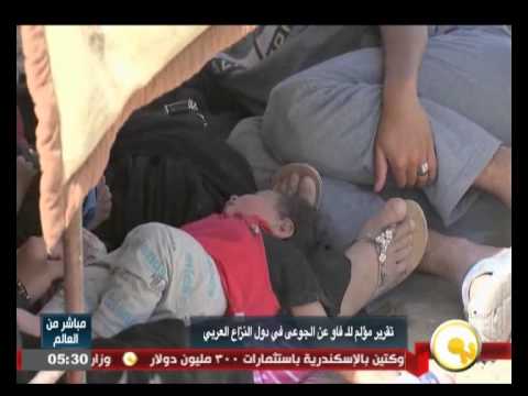 بالفيديو تقرير مؤلم لـالفاو يرصد حالة الجوع في دول النزاع العربي