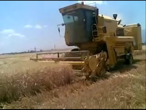 بالفيديو وحدات pyd الكردية تبدأ بحصاد أراضي القرى العربية