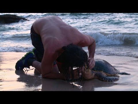 بالفيديو شاب ينقذ سلحفاة بالتنفس الصناعي