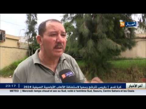 شاهد مليارات تهدر على تربصات أساتذة التعليم العالي