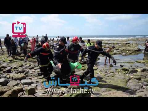 فيديو دُّلْفِين صغير قرب مسجد الحسن الثاني