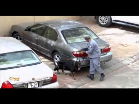 شاهد ردود فعل غاضبة بعد تفجير مسجد الصادق